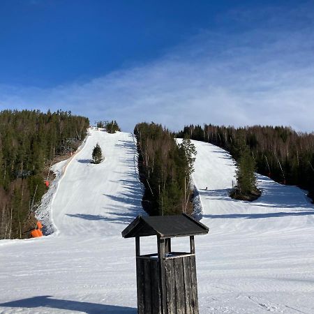 Rämsbyns fritidsby, 25 min till Romme Alpin Idkerberget Eksteriør bilde