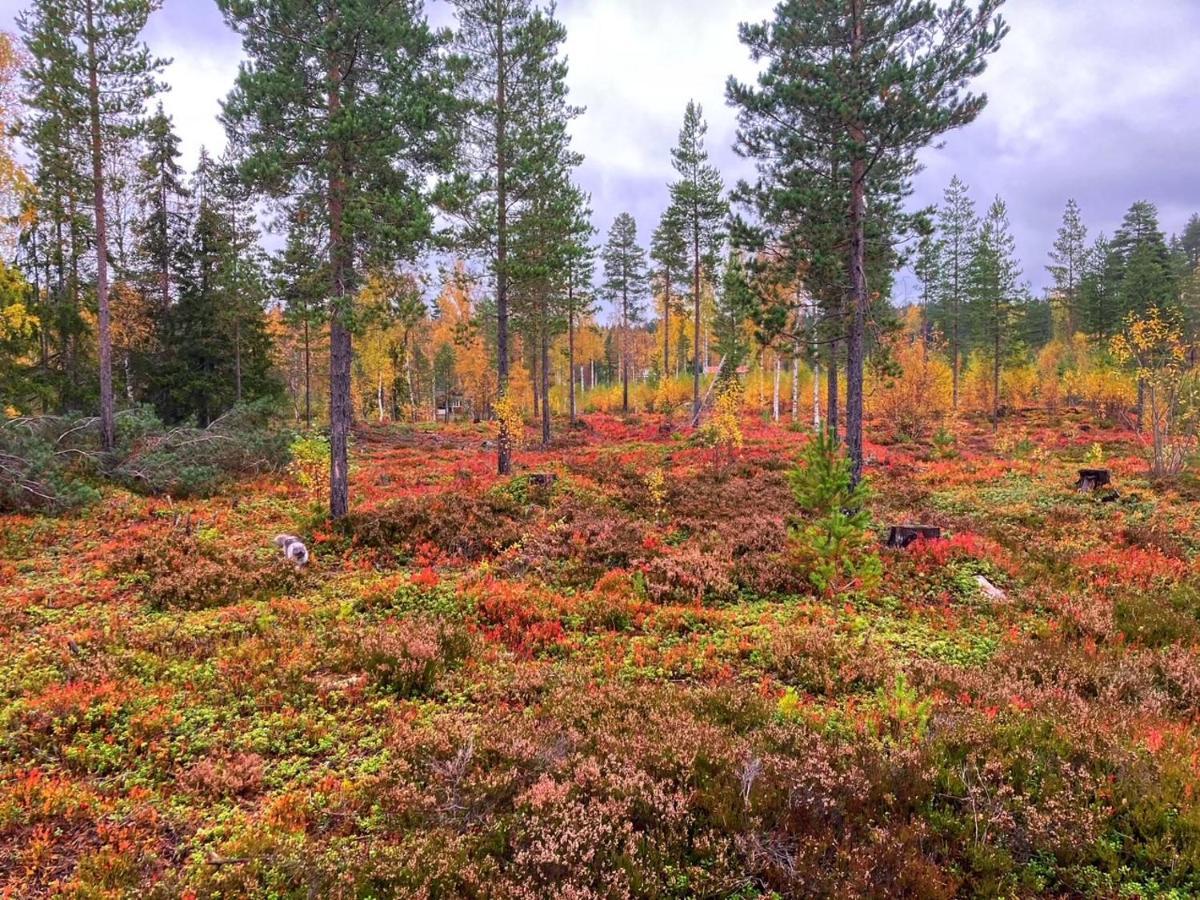 Rämsbyns fritidsby, 25 min till Romme Alpin Idkerberget Eksteriør bilde