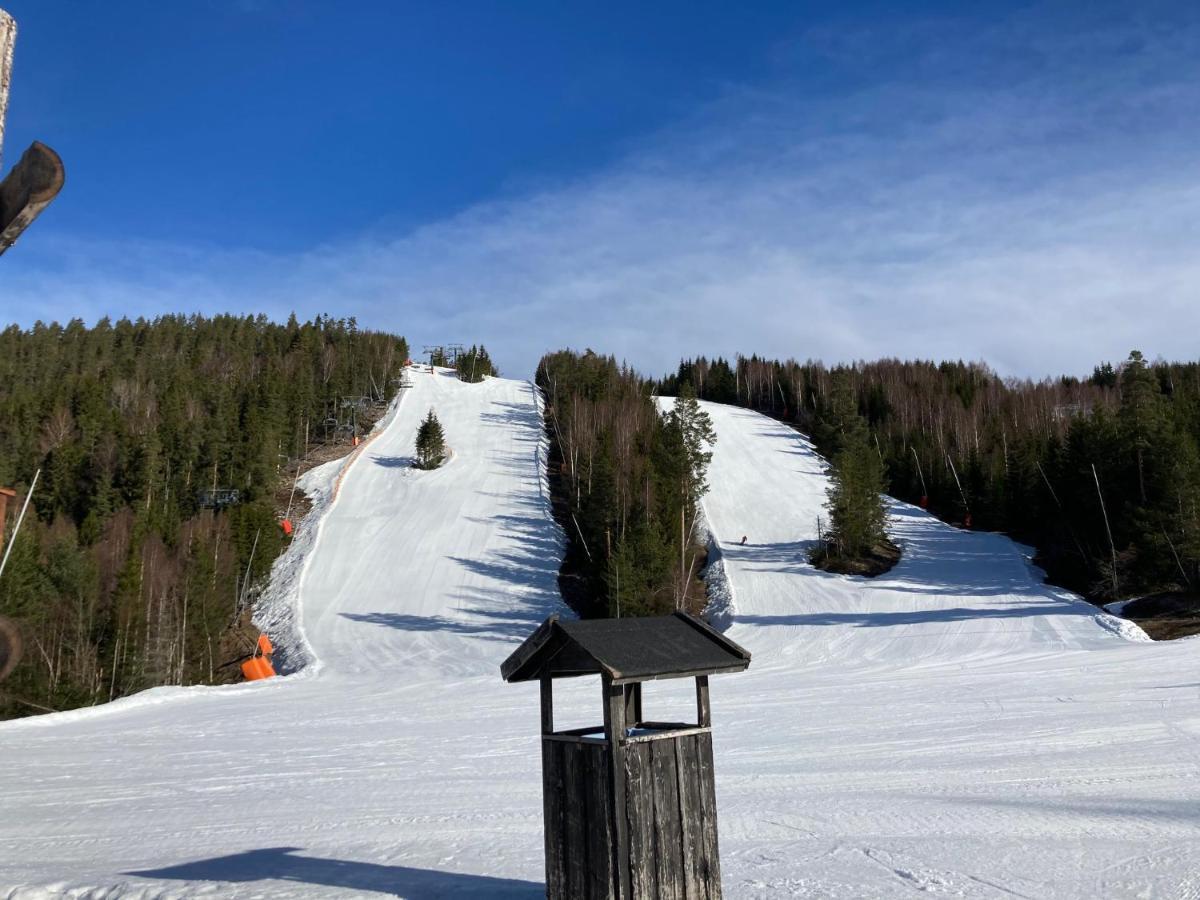 Rämsbyns fritidsby, 25 min till Romme Alpin Idkerberget Eksteriør bilde